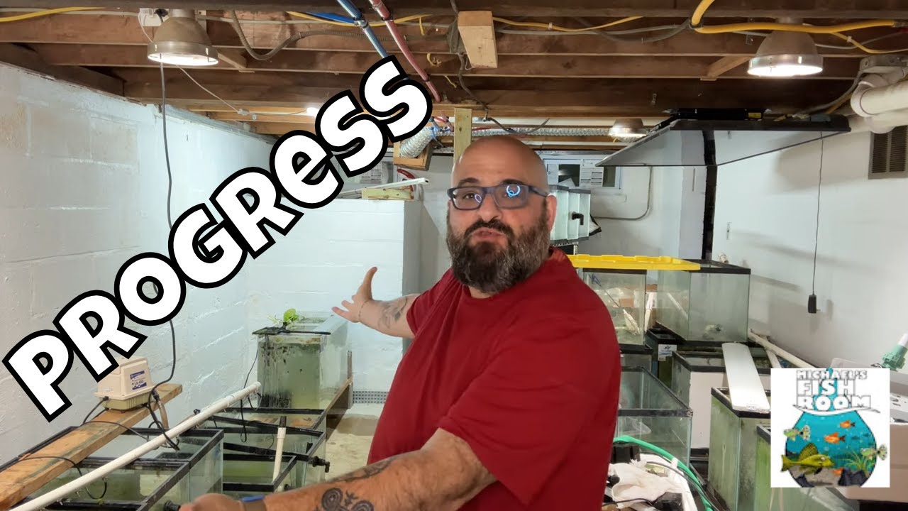 The New Fish Room Update!