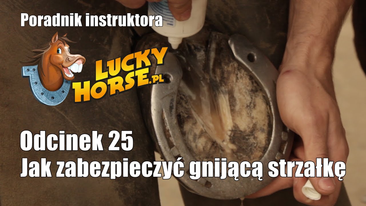 Porady LuckyHorse.pl - Odc25 - Jak zabezpieczyć gnijącą strzałkę