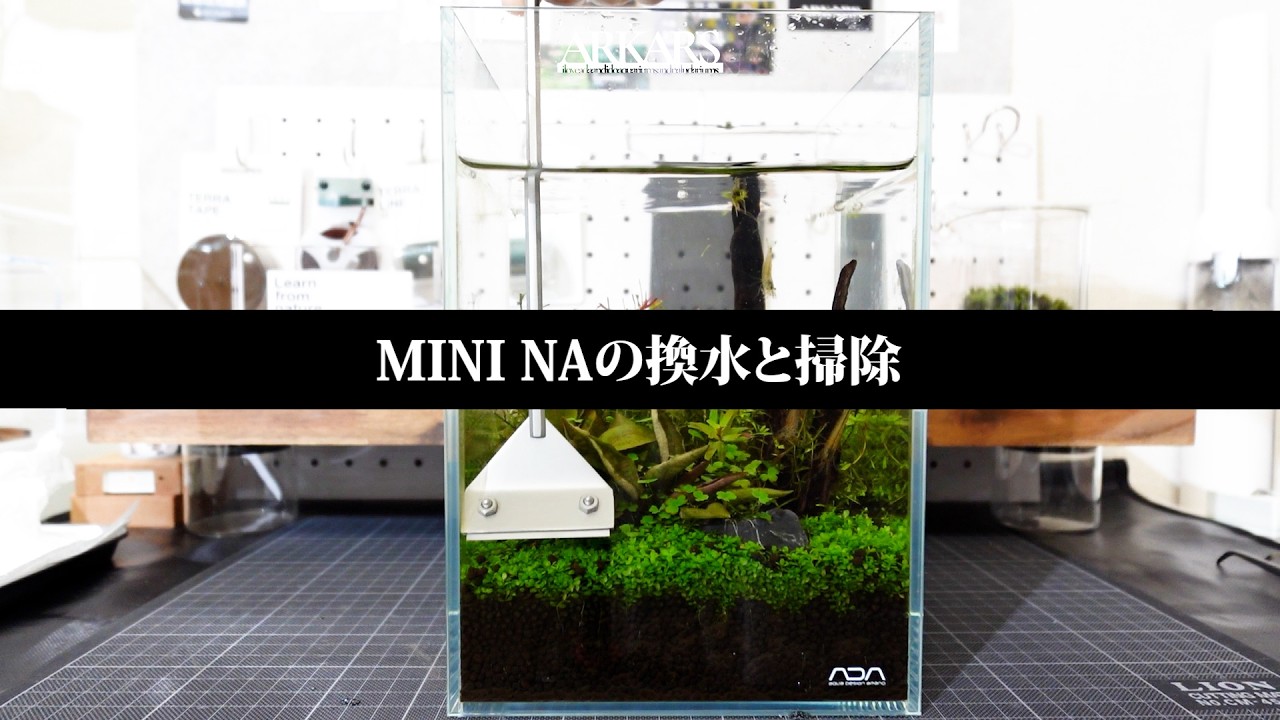 ARKARS_065「MINI NAの換水と掃除」