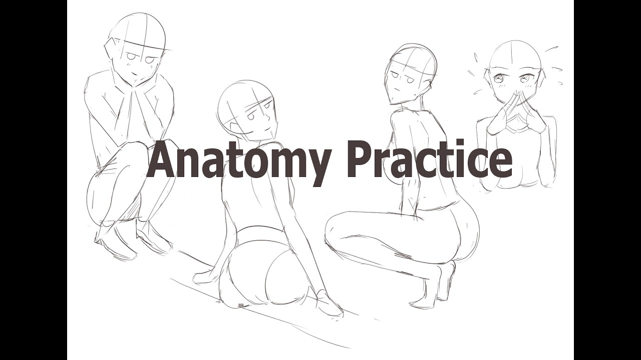 Anatomy Practice 03/03/2026