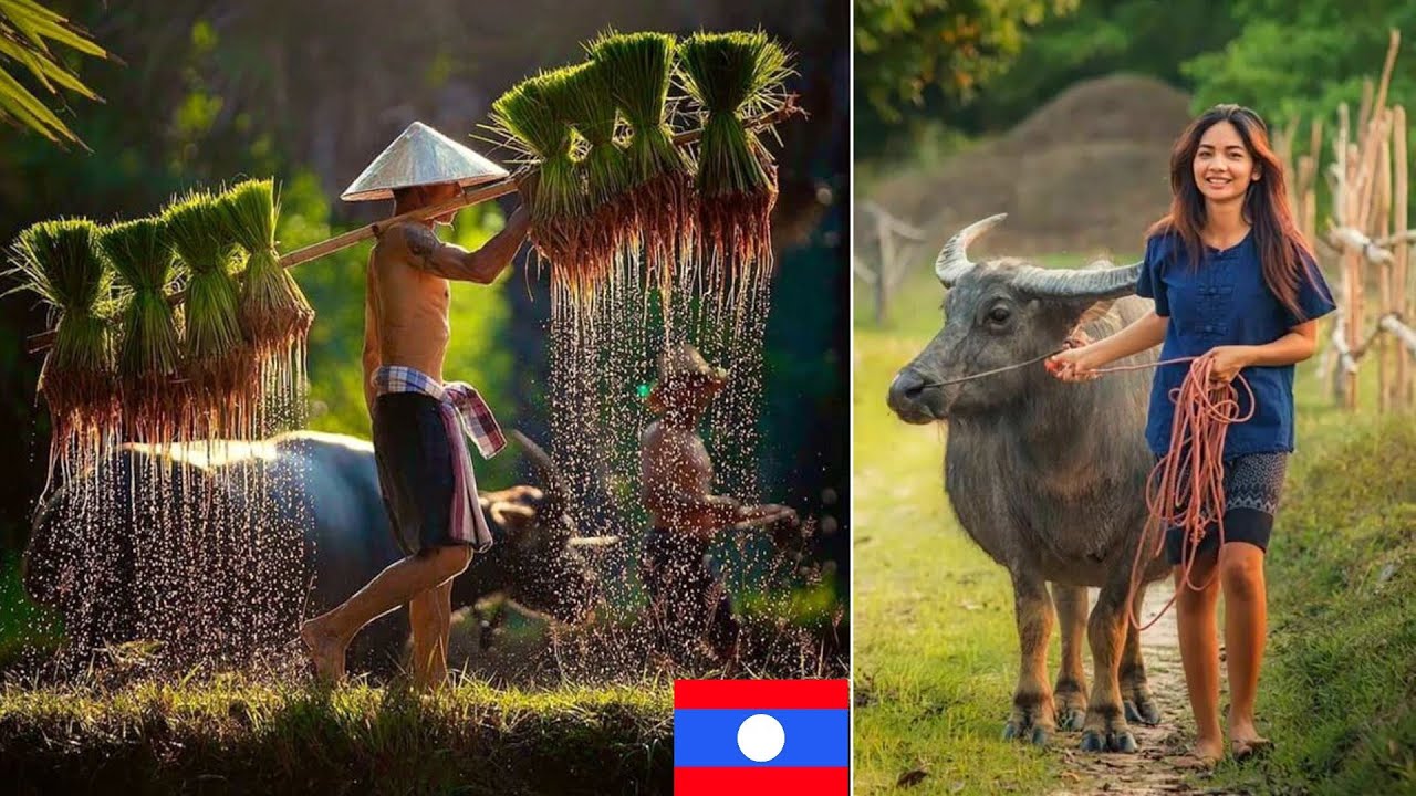 [English Subtitles] லாவோஸ் நாட்டை பற்றி தெரியுமா || Interesting Facts about Laos In Tamil || Asia