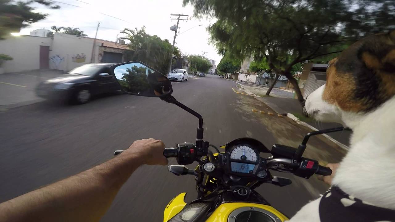 KAWASAKI ER6N / Z300