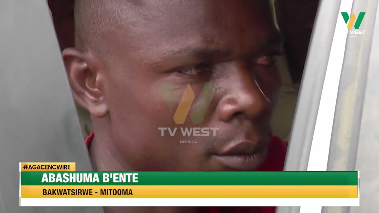 Agacencwire: Abashuma b'ente omuri Mitooma bakwatsirwe
