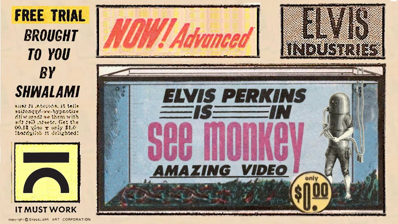 Elvis Perkins - See Monkey (Official Video)