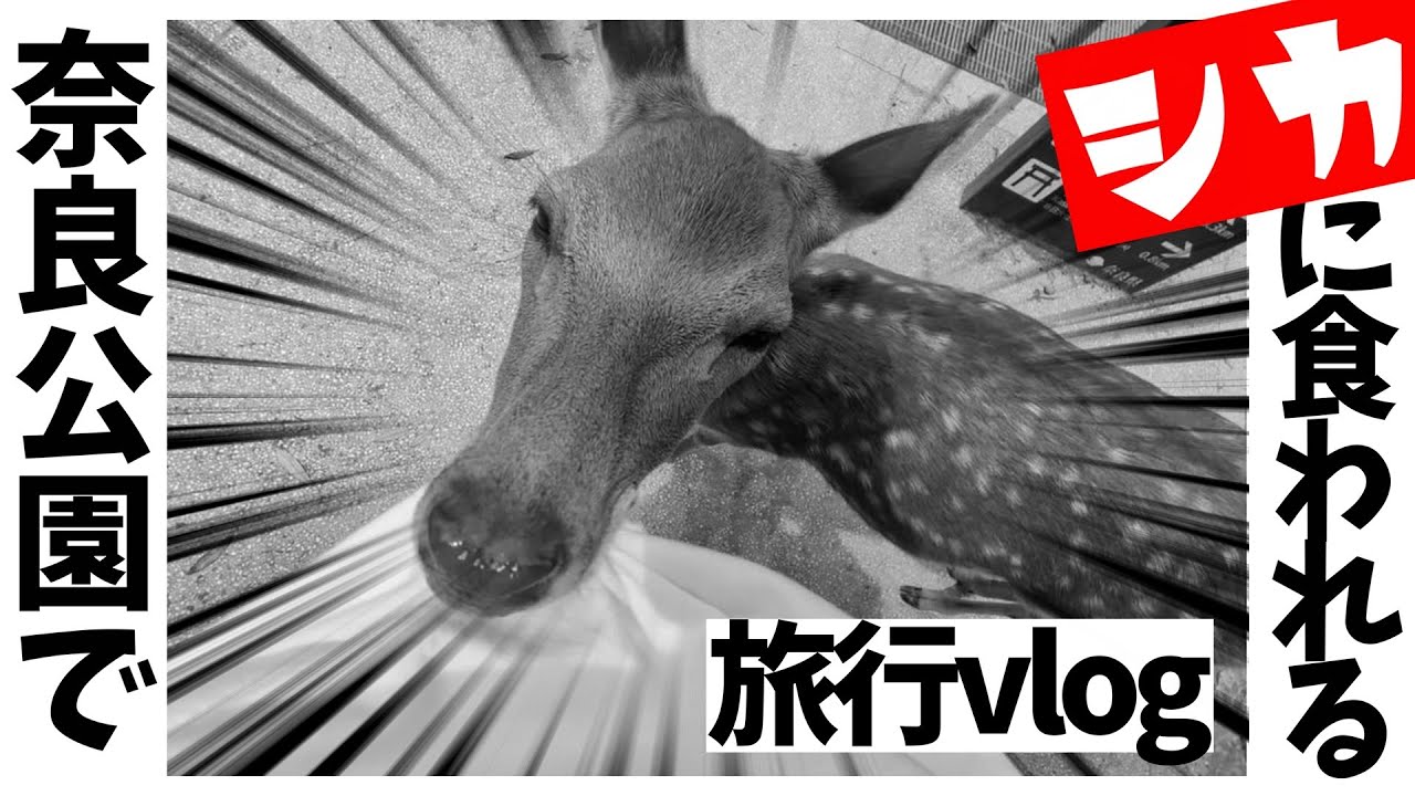 【奈良】車なしでホテルでゆっくりする1泊2日旅行vlog
