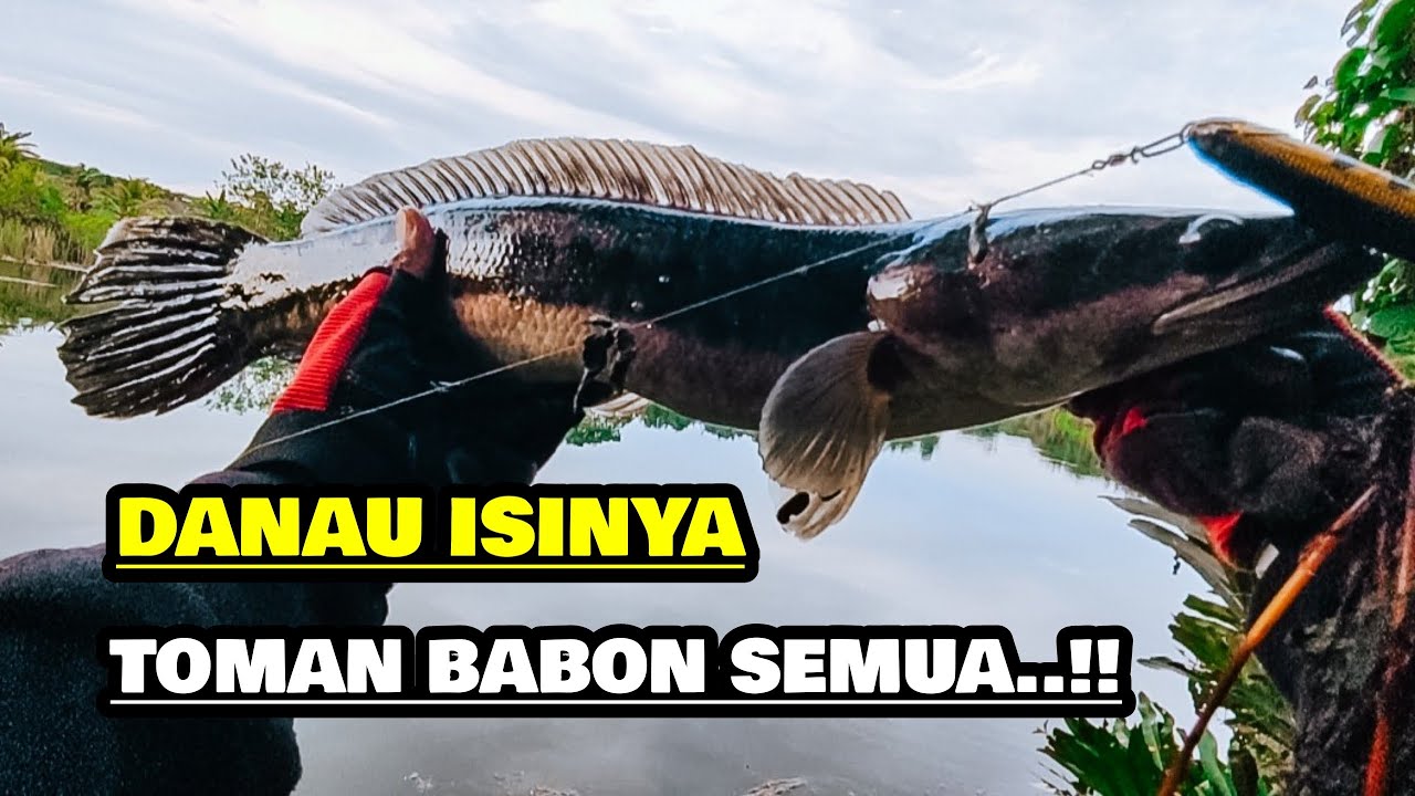 GILA DI SPOT INI SAMBARANYA MELEDAK TERUS...!!!