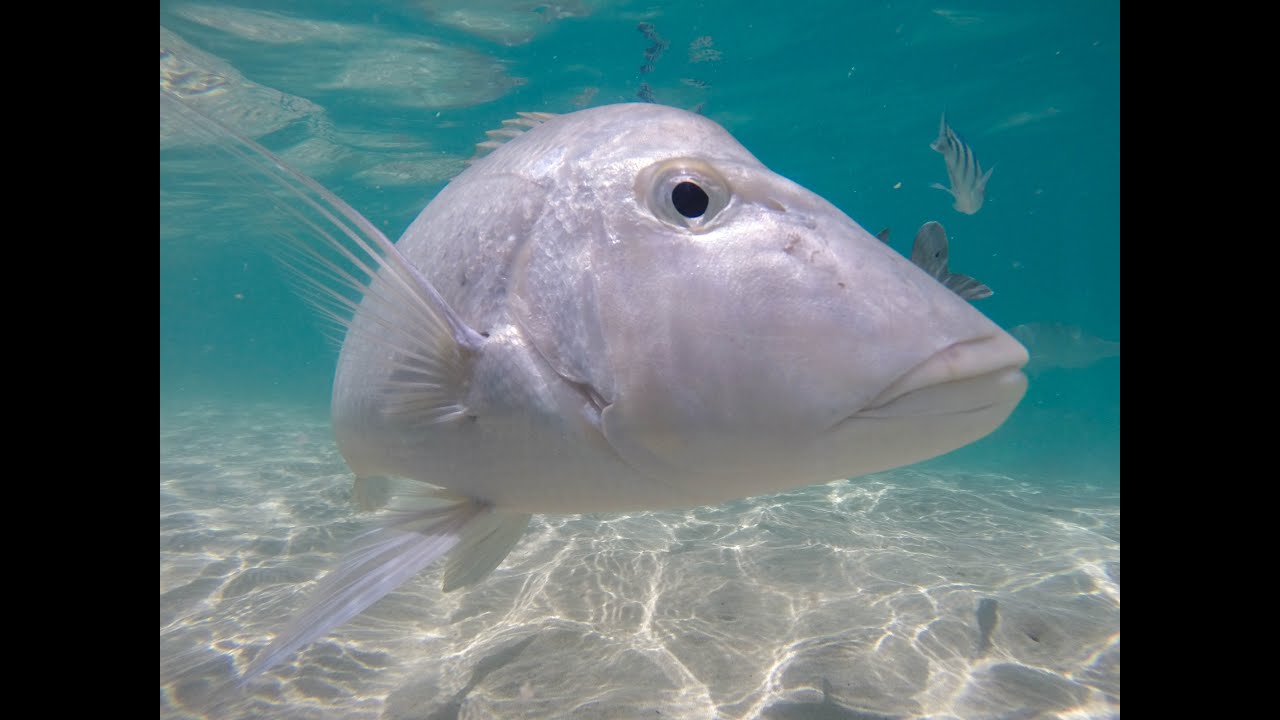 Coral Bay ... Paradise in the outback