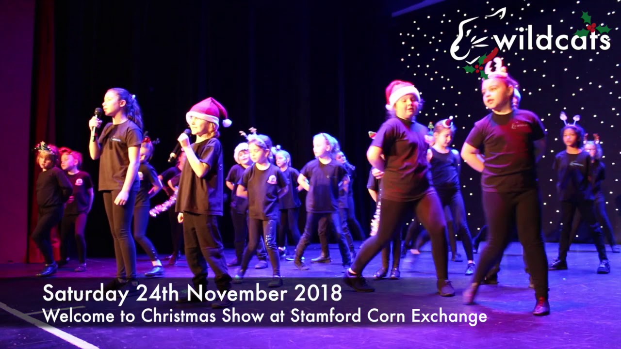 Sat 24th November - Welcome to Christmas with Wildcats Theatre School - Clips from the show