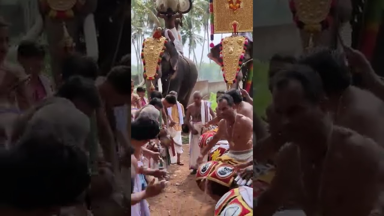 panchavadhyam chottanikkara vijayan marar | kalamandalam kutty narayanan #shorts #pooram #short