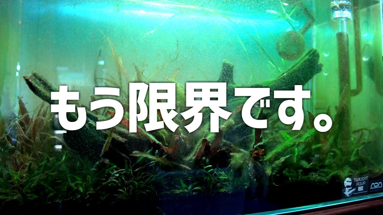 【悲報】1年1ヶ月。結局完成させられずにリタイア。