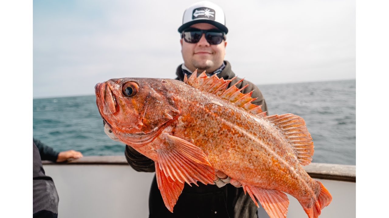 Untouched Coast yields MONSTERS/Deep water Slowpitch Jigging/ California