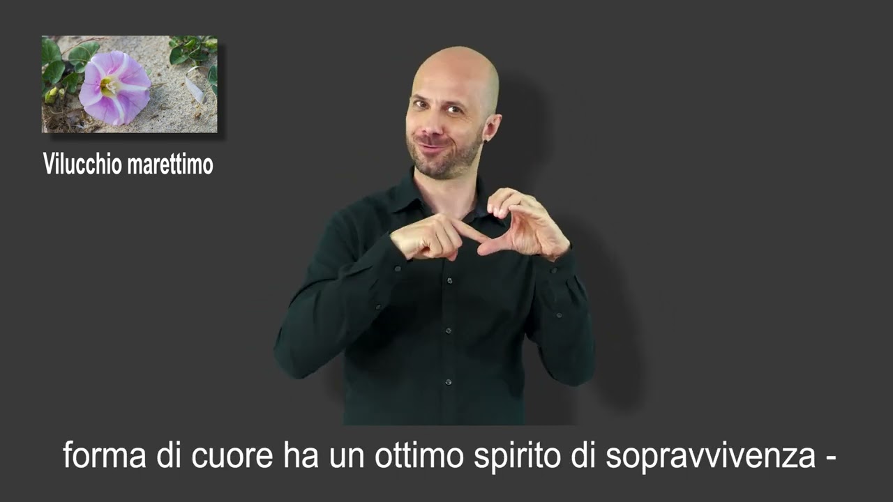 10 Educazionale Vilucchio marettimo