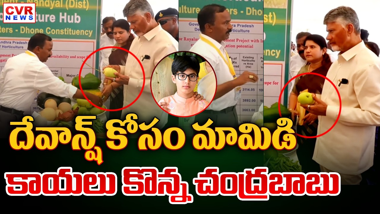 దేవాన్ష్ కోసం మామిడి కాయలు కొన్న చంద్రబాబు | CM Chandrababu Dhone Tour | CVR News