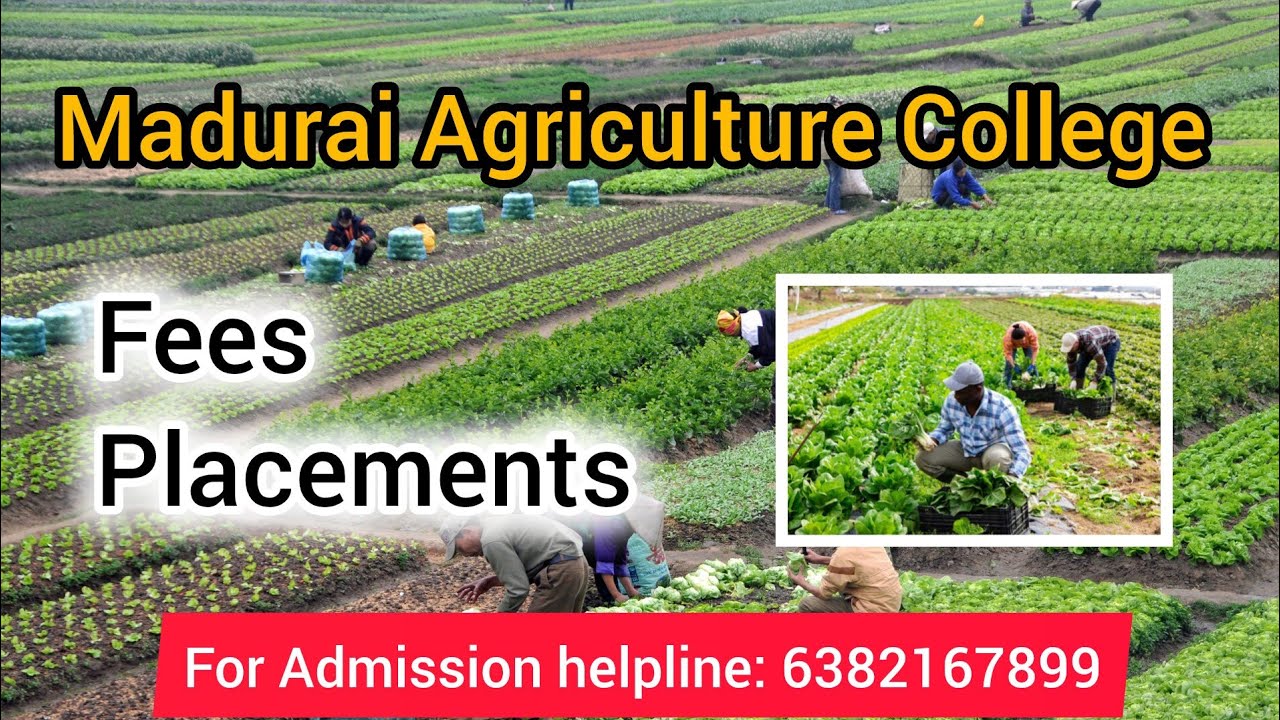Madurai Agriculture College - Cutoff|Bsc.agri|Fees|#madurai #agriculture #cutoff #tnau