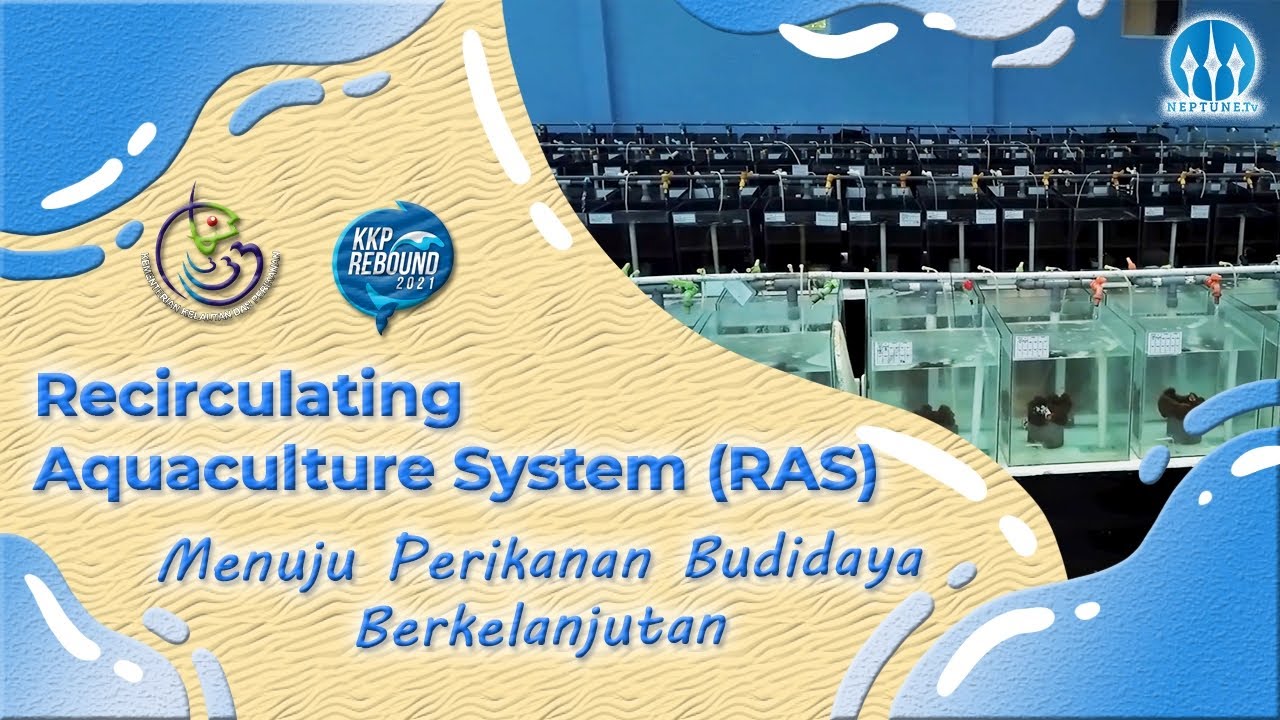 Recirculating Aquaculture System (RAS), Menuju Perikanan Budidaya Berkelanjutan