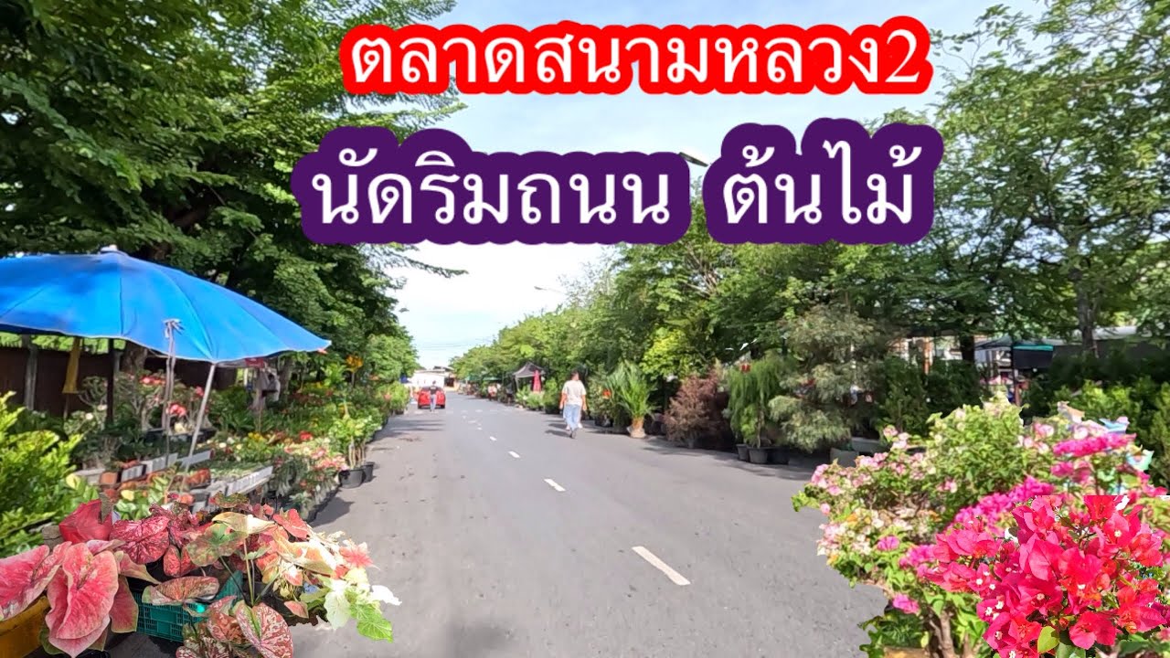 ตลาดสนามหลวง2 นัดริมถนนต้นไม้