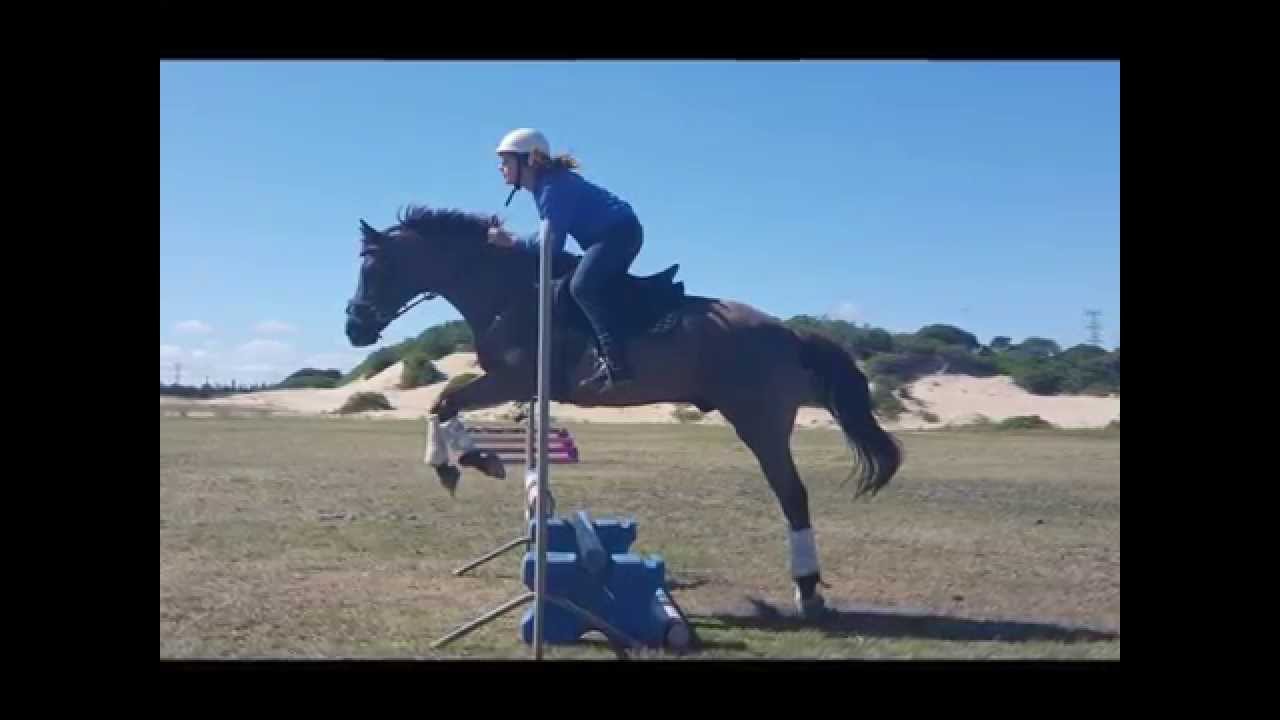 Riding Java