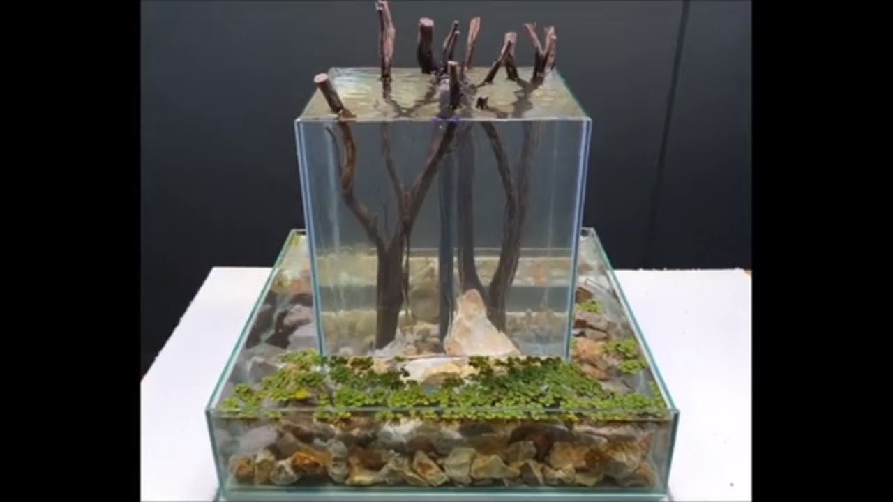 АКВАРИУМ С БАССЕЙНОМ - БАССЕЙН 60x60x12см БАШНЯ 25x25x40см