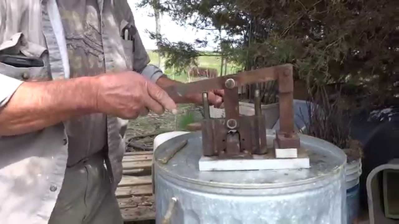 Grafting Pecans with Machined Tool
