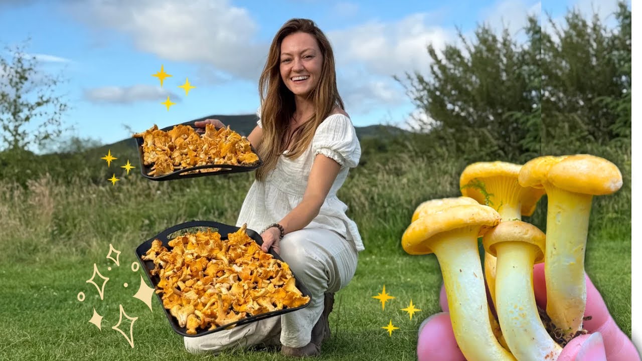 Mushroom Road Trip - Foraging, swimming & canoeing!