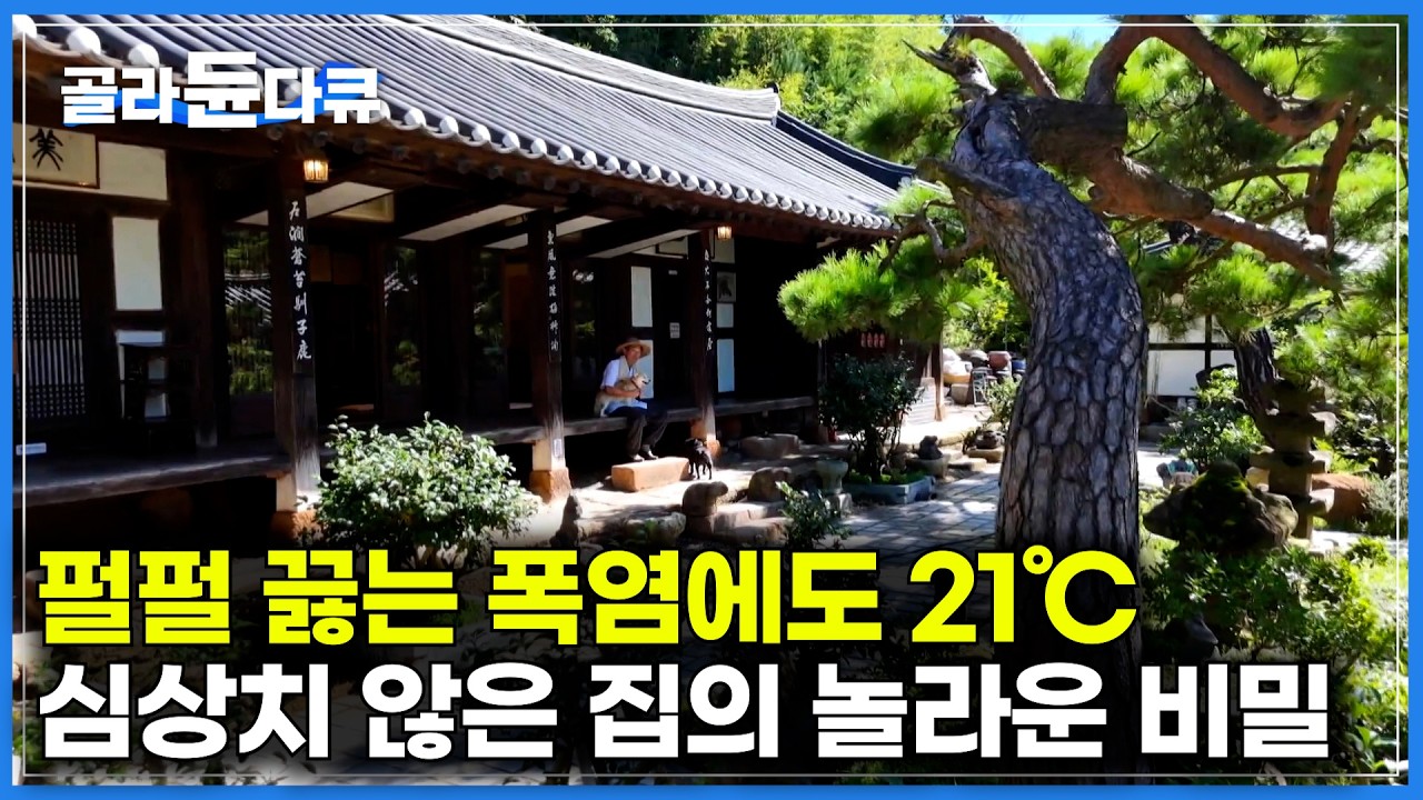 은퇴하고 지은 인생 역작. 한옥 기껏 지어놓은 아버지가 땅굴을 파기 시작했다｜여름에도 21℃, 아버지가 지은 동굴집의 비밀｜2025 한국기행 최신판｜#골라듄다큐