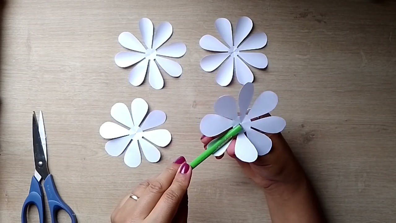 Flores de Papel | Paper Craft Daisy Aula 12