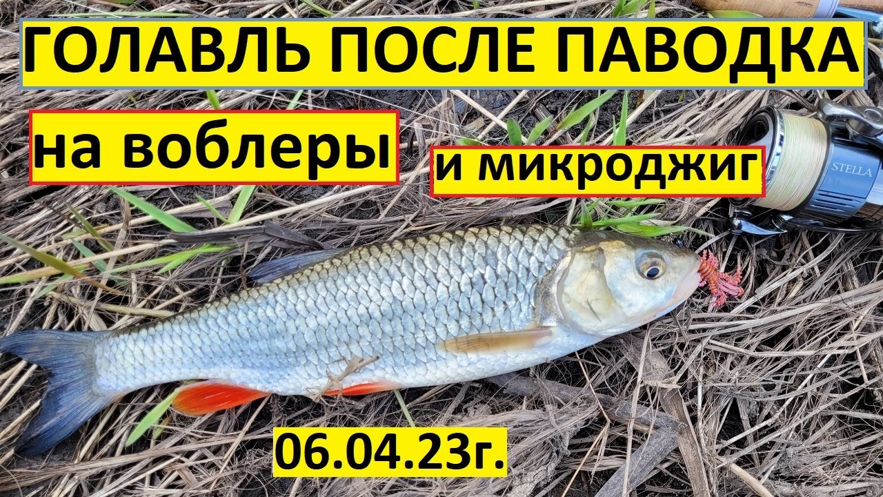 Лучшие приманки на ГОЛАВЛЯ весной! Как ловить ГОЛАВЛЯ весной на спиннинг! РЫБАЛКА в апреле! Голавль!
