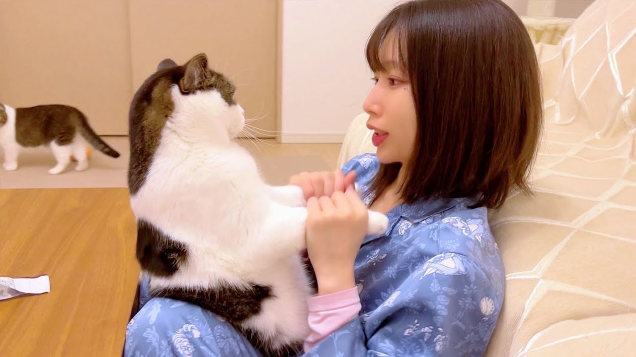 酔っ払いのママにされるがままにされた息子猫がこちら…涙