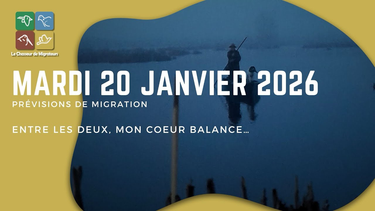 Prévisions de migration du 20 janvier 2026 - Entre les deux mon cœur balance…
