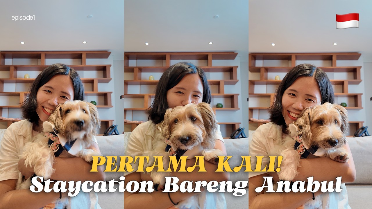 Pertama Kali Staycation Bareng Anabul di Jakarta!