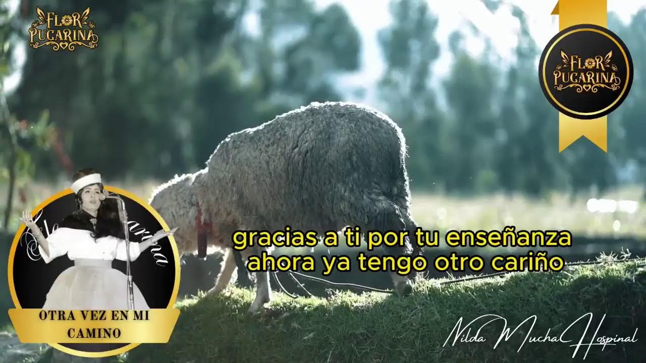 La Hora Folklorica de Flor Pucarina