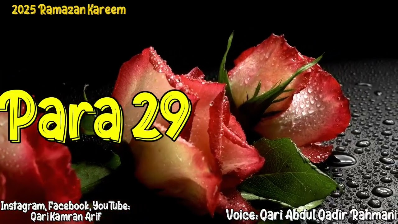 29/30 Para 29 Fast Recitation| Fast quran by Qari Abdul Qadir Rahmani| QKA