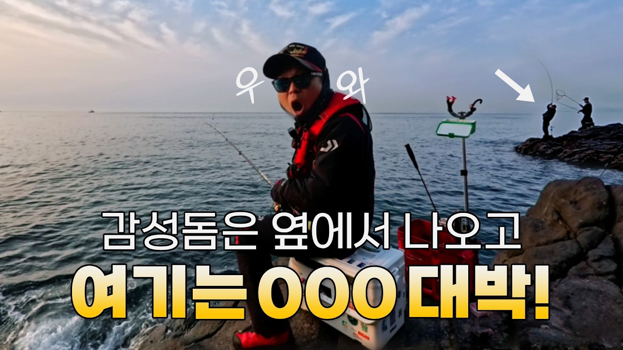 감성돔 낚시왔다가 요즘 보기 힘든 녀석을 잡았습니다! (발상CAP5리뷰)