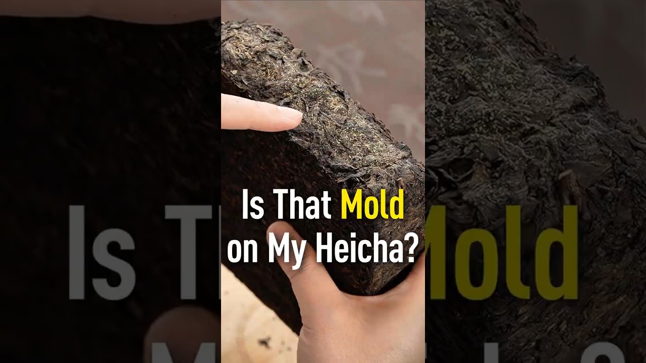 Wait&hellip; is my Heicha moldy? 😱