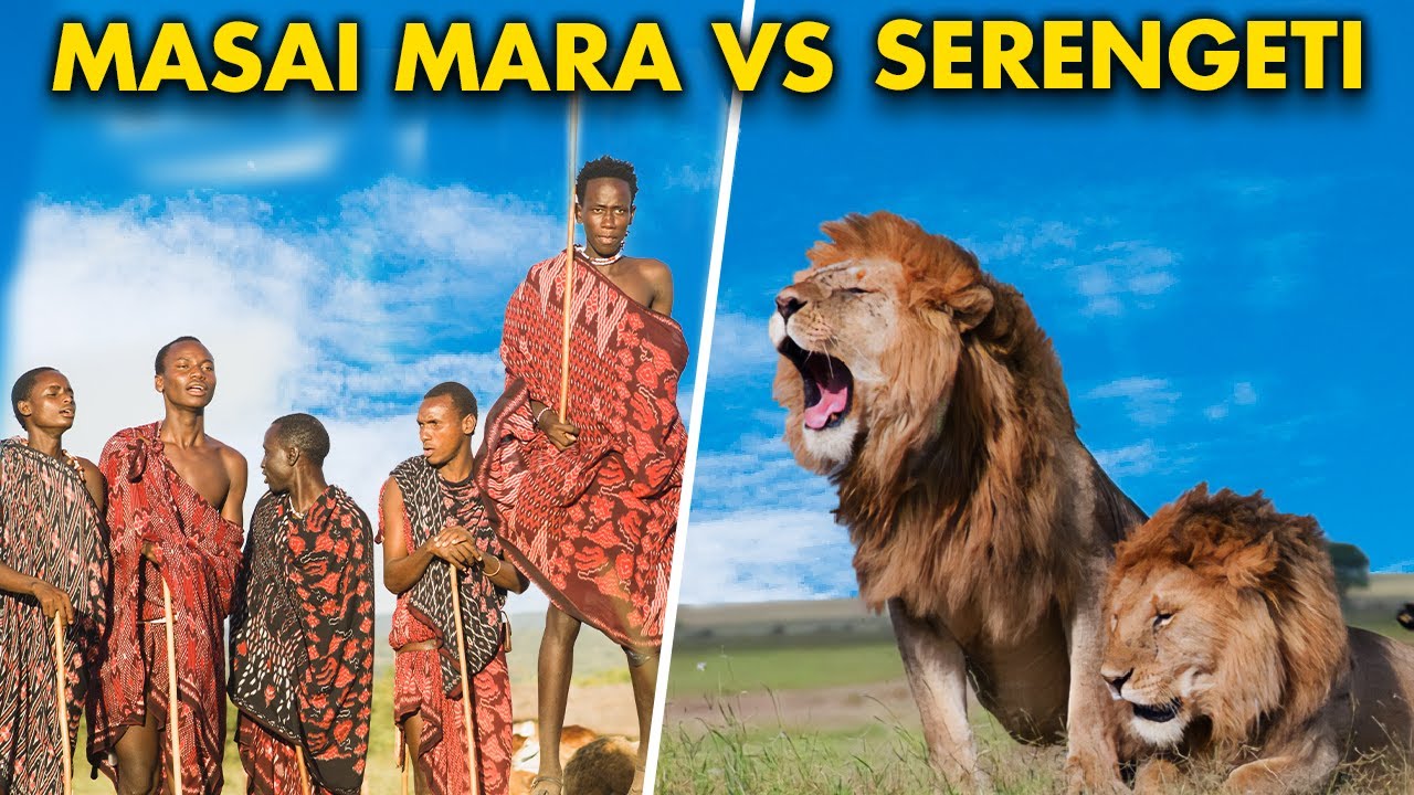 Comparing the WORLD&rsquo;S BEST Safari Hotels (Masai Mara vs Serengeti)