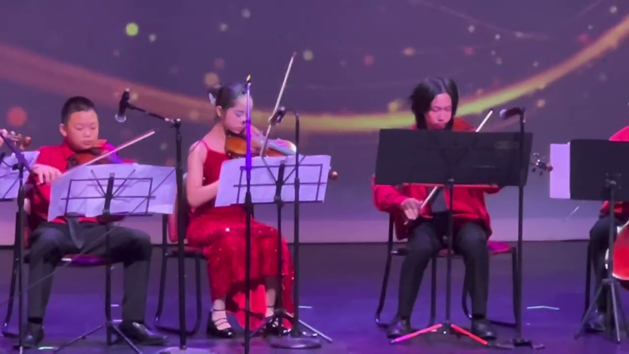 2026 Overseas Chinese New Year Gala performance by the Whimsical Ensemble. 