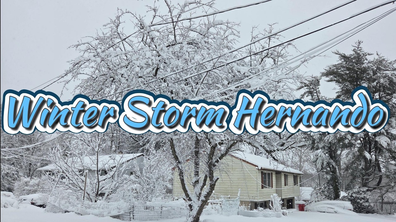 Hernando Winter Storm: My Experience / Winte Storm HERNANDO Part 2