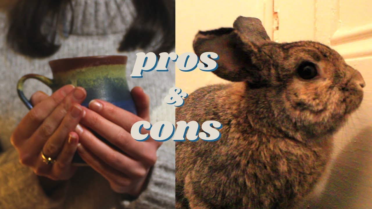 Slow Living Pros and Cons | The Slow Living Guide Ep. 2