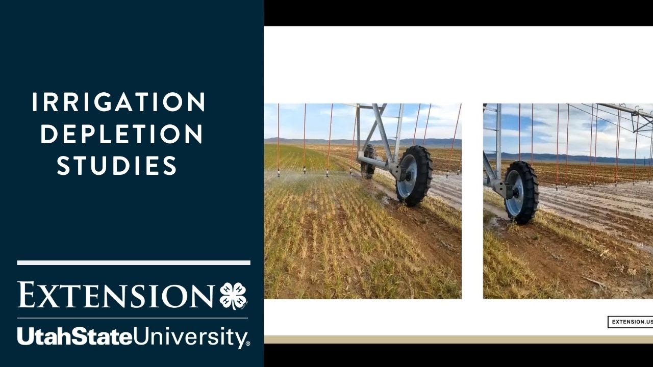 Irrigation Depletion Studies