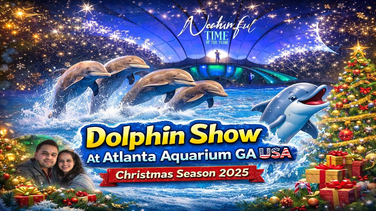 Magical Dolphin Show at Georgia Aquarium Atlanta, USA | Christmas 2025 🎄🐬