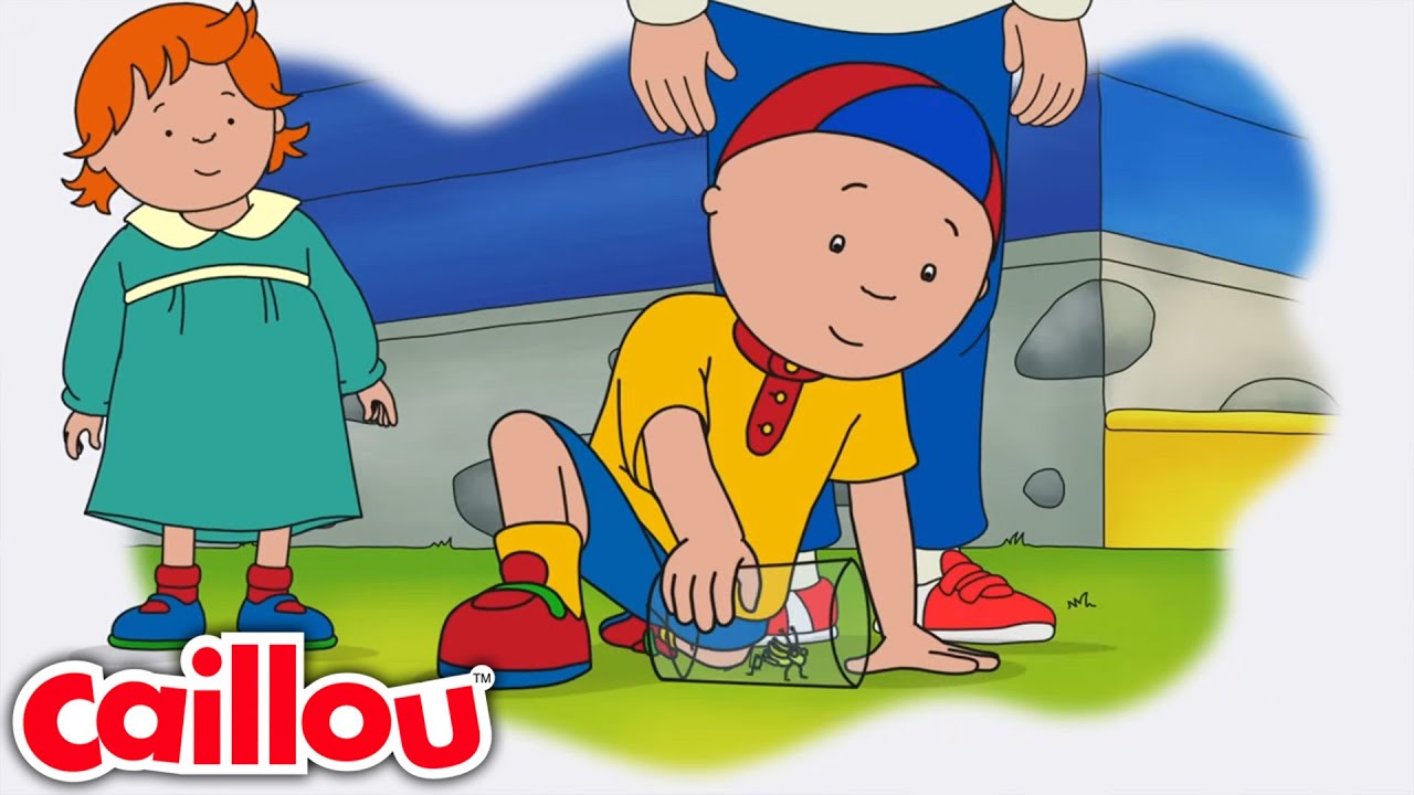El grillo de Caillou | Caillou Español - WildBrain | Caricaturas para niños