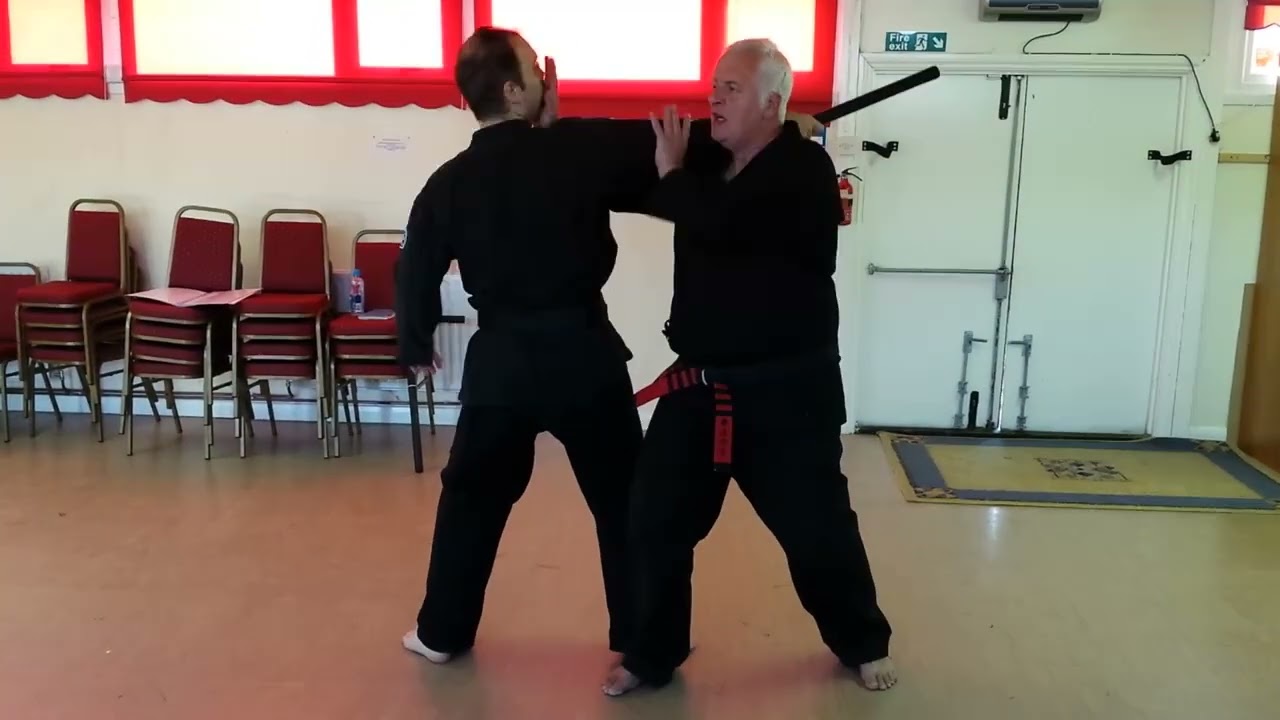 Kenpo Insights 20 техник самообороны: противодействие буре
