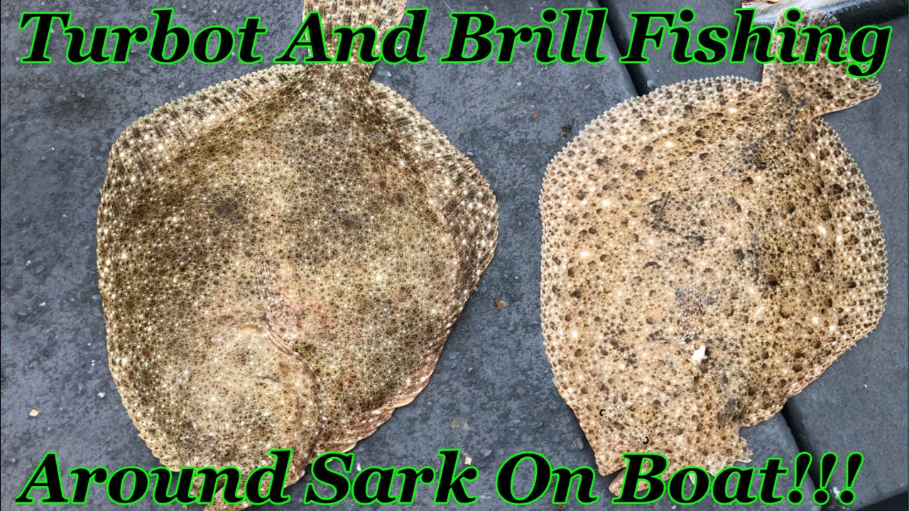 Turbot And Brill Fishing Around Sark On Boat!!!