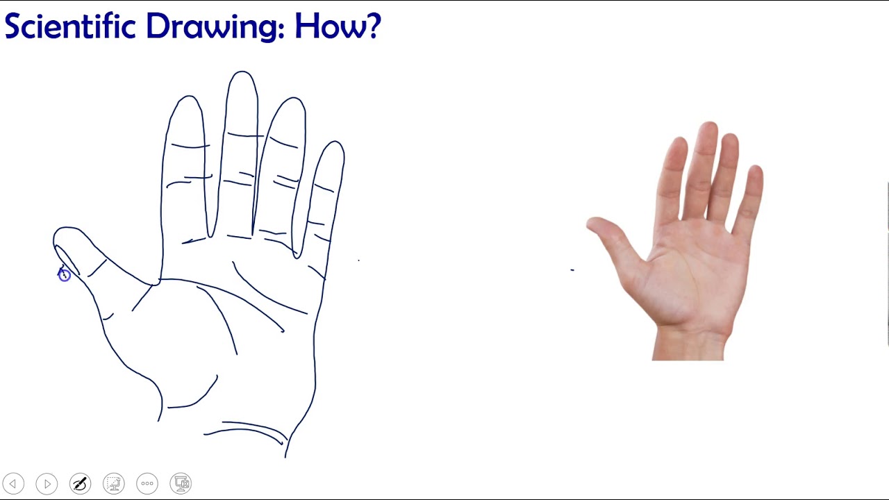 How To: Scientific Drawing