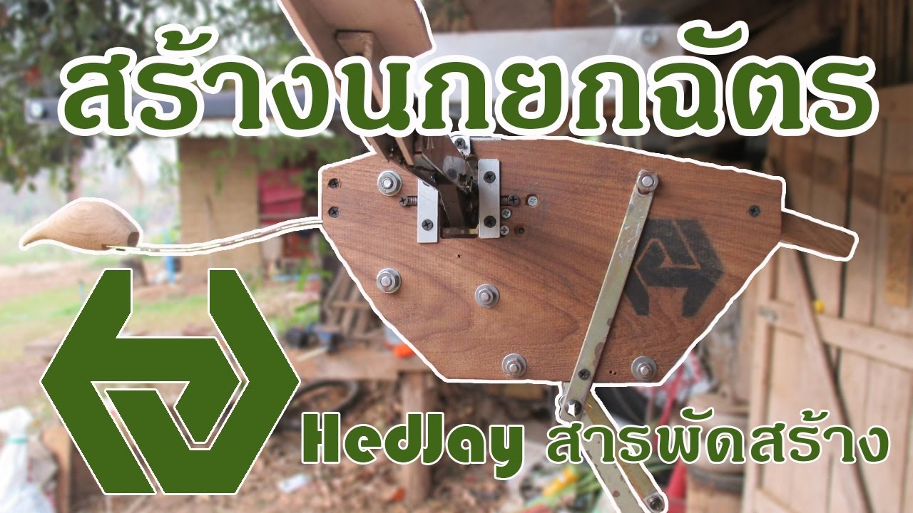 สร้างนกยกฉัตร | HedJay สารพัดสร้าง