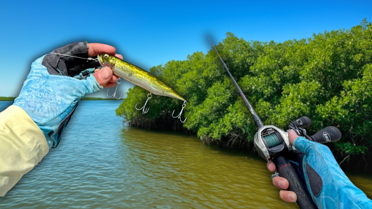 Podr&eacute; pescar PARGOS DE ESTERO con t&eacute;cnicas de lobina!?