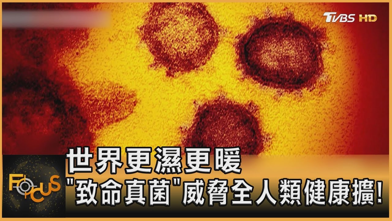 世界更濕更暖 「致命真菌」威脅全人類健康擴!｜方念華｜FOCUS全球新聞 20230210  @TVBSNEWS01