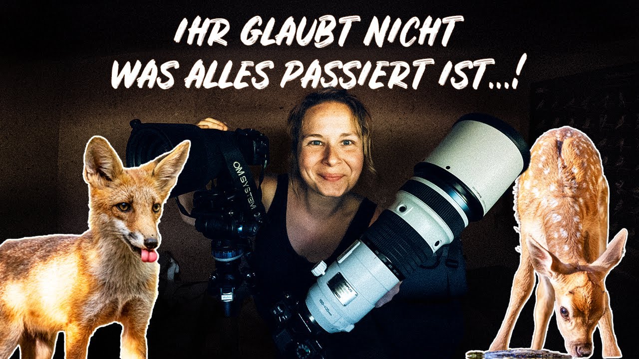 Wilde Begegnungen und magische Momente | Ungarn Wildlife Vlog mit OM SYSTEM