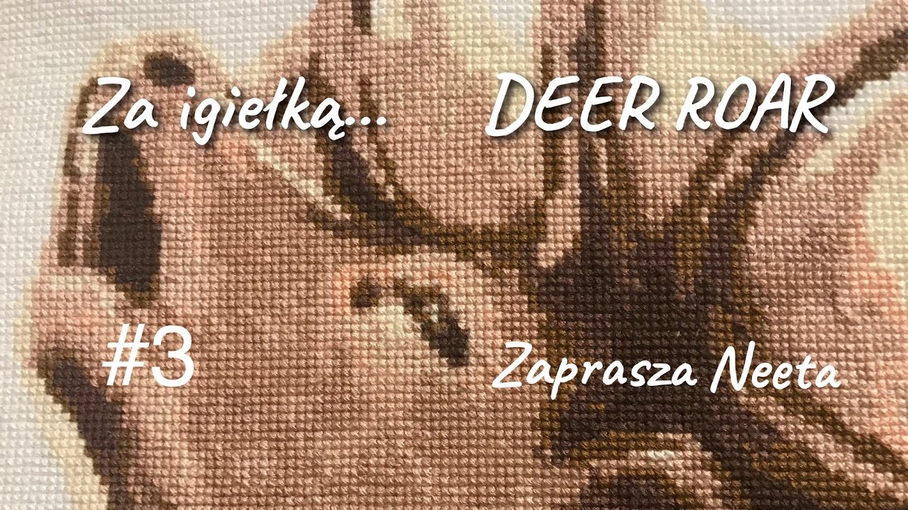 ZA IGIEŁKĄ... DEER ROAR #3 FINAL | Neeta