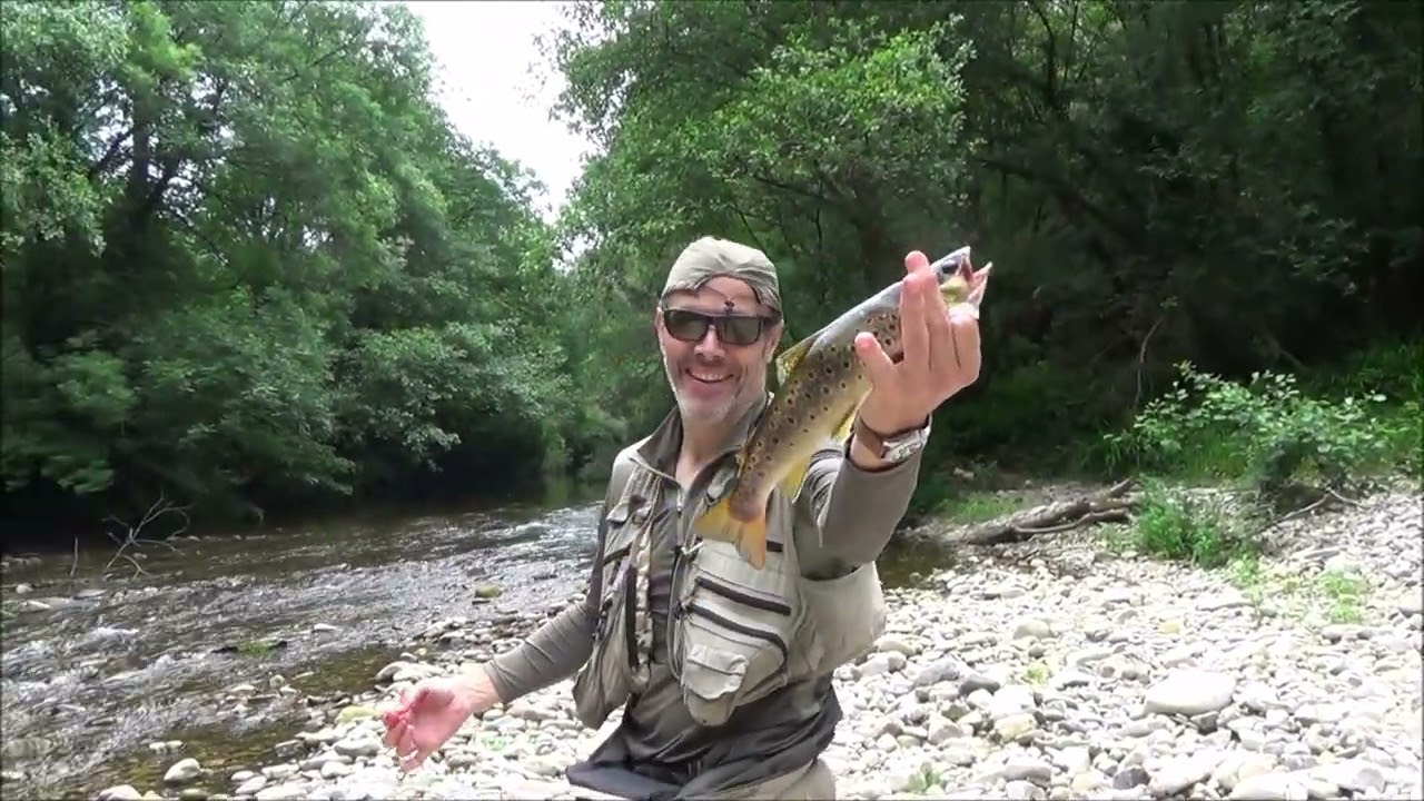 Cupo de Truchas y Salmón Cebado en el Coto de Brieves en el Río Esva en Asturias Paraíso Natural